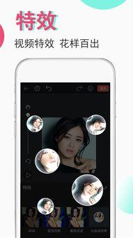 豆豆视频官网成人,探索成人生涯的精彩瞬间