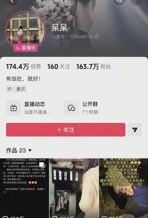 猪变成人的广告视频,一场跨越物种的奇幻冒险