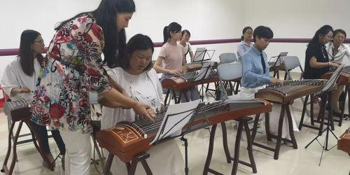 古筝成人班授课视频,轻松入门，领略古筝之美