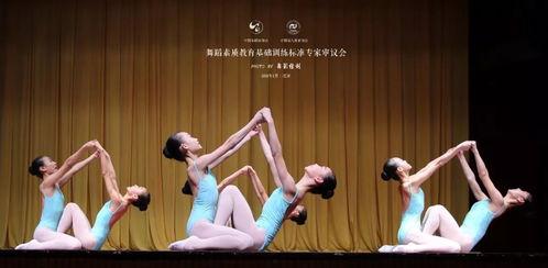 国学舞蹈成人男生视频大全,成人男生国学舞蹈风采集锦