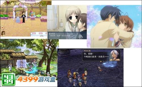 成人情侣游戏视频大全,成人情侣游戏视频精选集锦