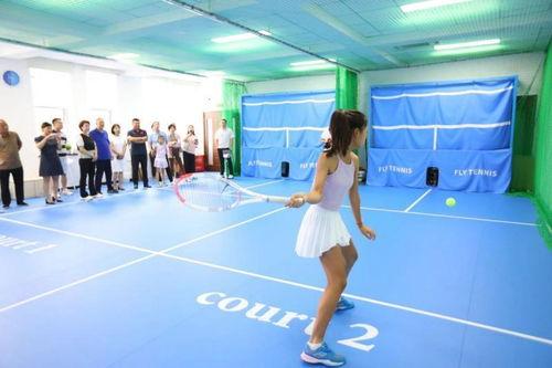 成人怎么学网球最快视频,成人学网球必备视频教程