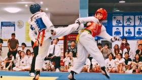 跆拳道成人基础视频,跟随视频轻松掌握跆拳道技巧