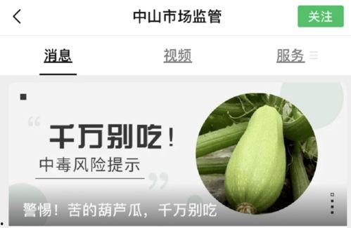 贵阳人吃葫芦瓜视频大全,葫芦瓜美食视频大盘点