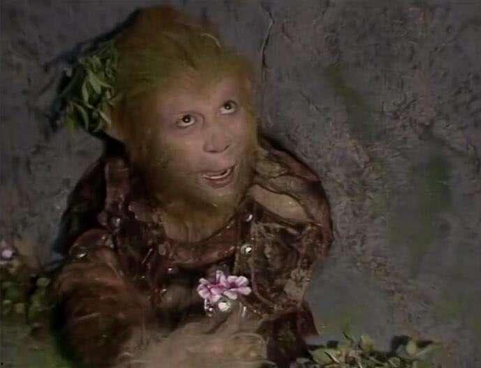 悟空吃瓜事件视频大全集,全程回顾，笑料百出