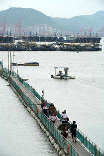 福建吃瓜渔船轨迹视频,吃瓜群众的海洋奇遇记