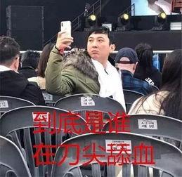 王思聪官媒吃瓜视频,揭秘娱乐圈幕后故事