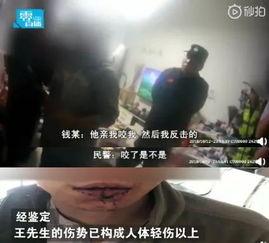 带你吃瓜奇葩讲解视频,吃瓜奇葩讲解视频背后的趣味与真相