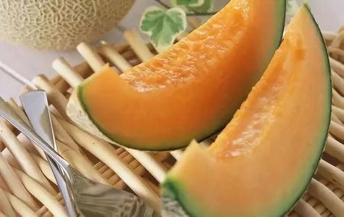 吃一整个哈密瓜完整视频