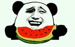 如何看懂吃瓜视频教程呢,吃瓜视频教程解读指南