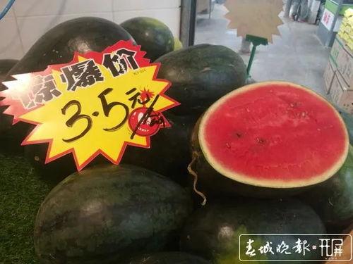 云南昆明吃瓜爆料视频,一场关于瓜子的风云际会