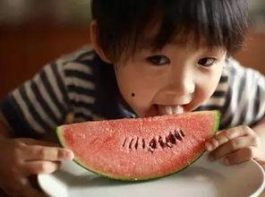 表嫂摘西瓜吃瓜视频大全