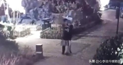 螺丝吃瓜视频完整版,揭秘视频背后的精彩故事与幕后花絮