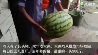 最近有什么吃瓜视频吗