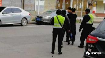 卖汽车的王阿姨吃瓜视频,趣味横生，揭秘汽车销售幕后趣事