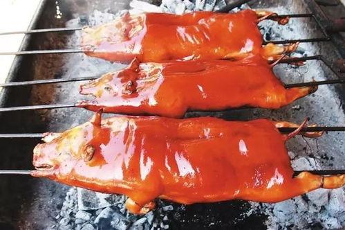 大瓜吃烤乳猪视频播放,一场视觉盛宴的直播狂欢