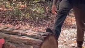 老外吃瓜砍树视频播放