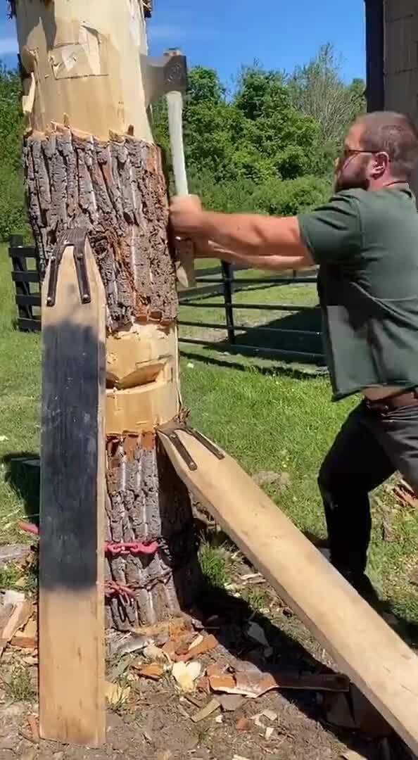 老外吃瓜砍树视频播放