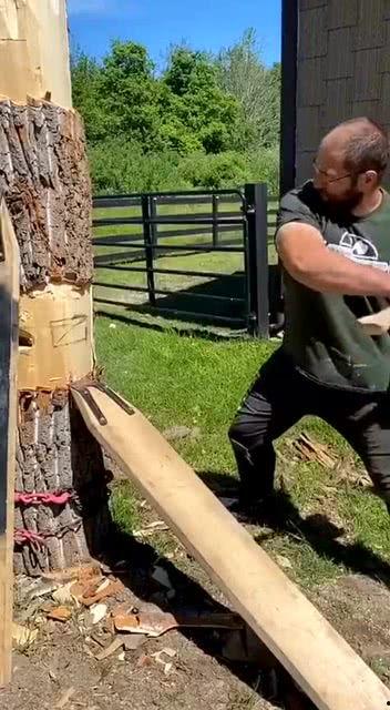 老外吃瓜砍树视频播放