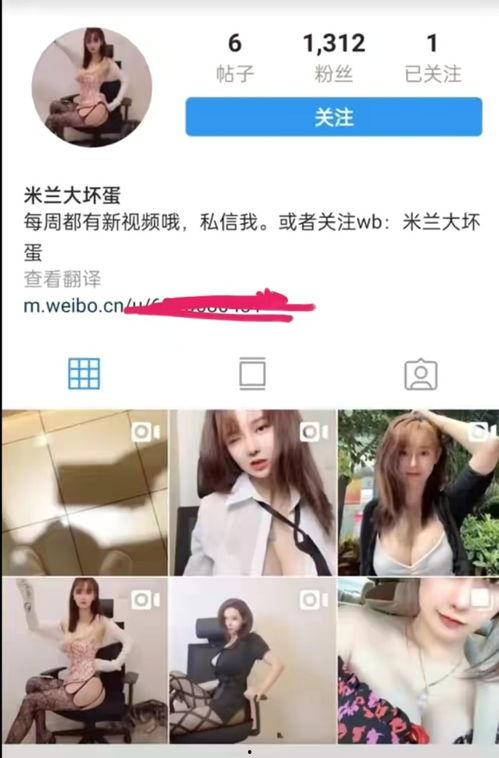 吃瓜反转段子视频,段子视频揭示真相背后