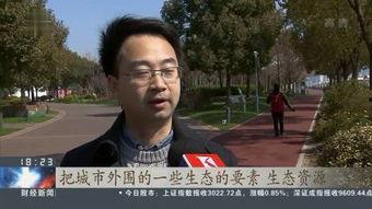 大师批判吃瓜视频在线观看,大师批判吃瓜视频背后的真相与影响